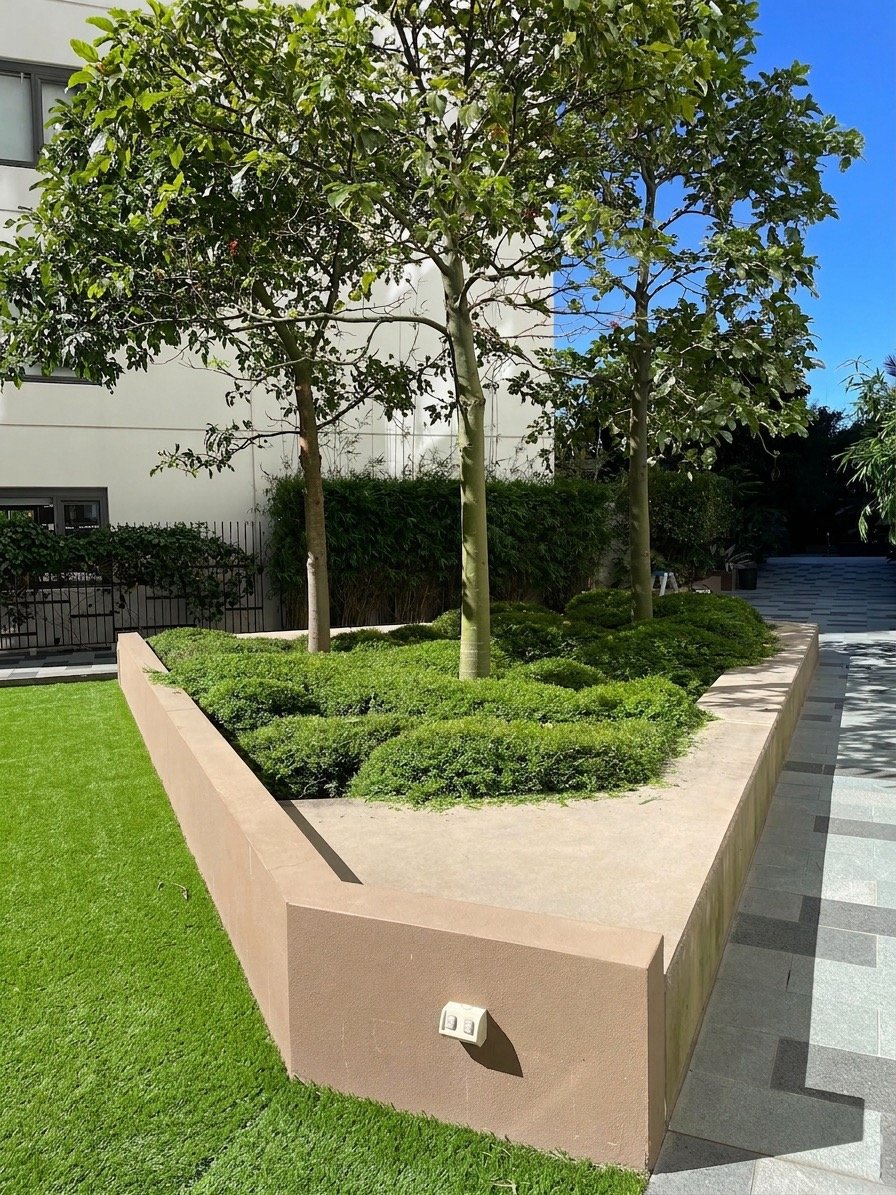 Image 10